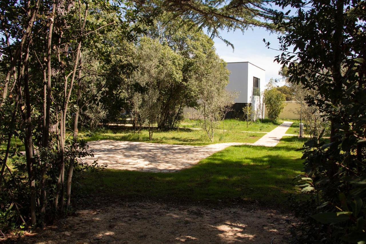 Villa Rosemary Park Задар Екстериор снимка